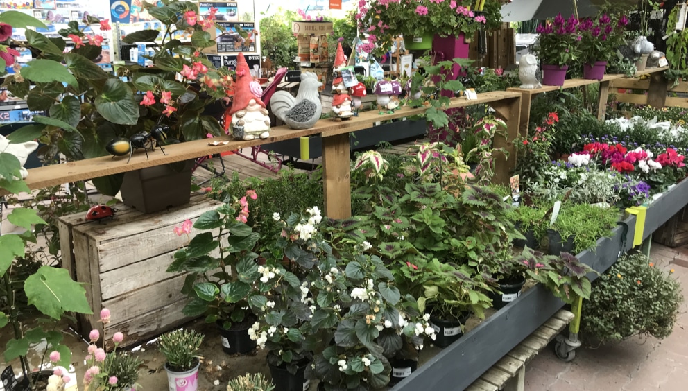 Plantes et jardin Vendôme, Une maison proche de la nature