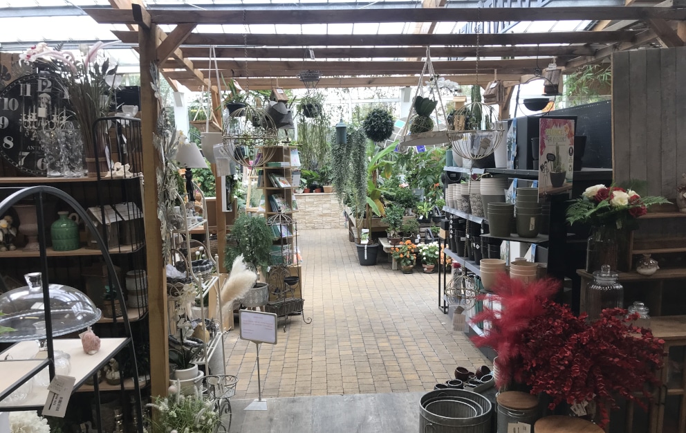 Rayon plantes et jardins Nature and Co Vendôme