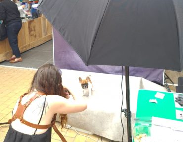 shooting-photo-animal-spot Venez faire une photo avec votre compagnon à 4 pattes