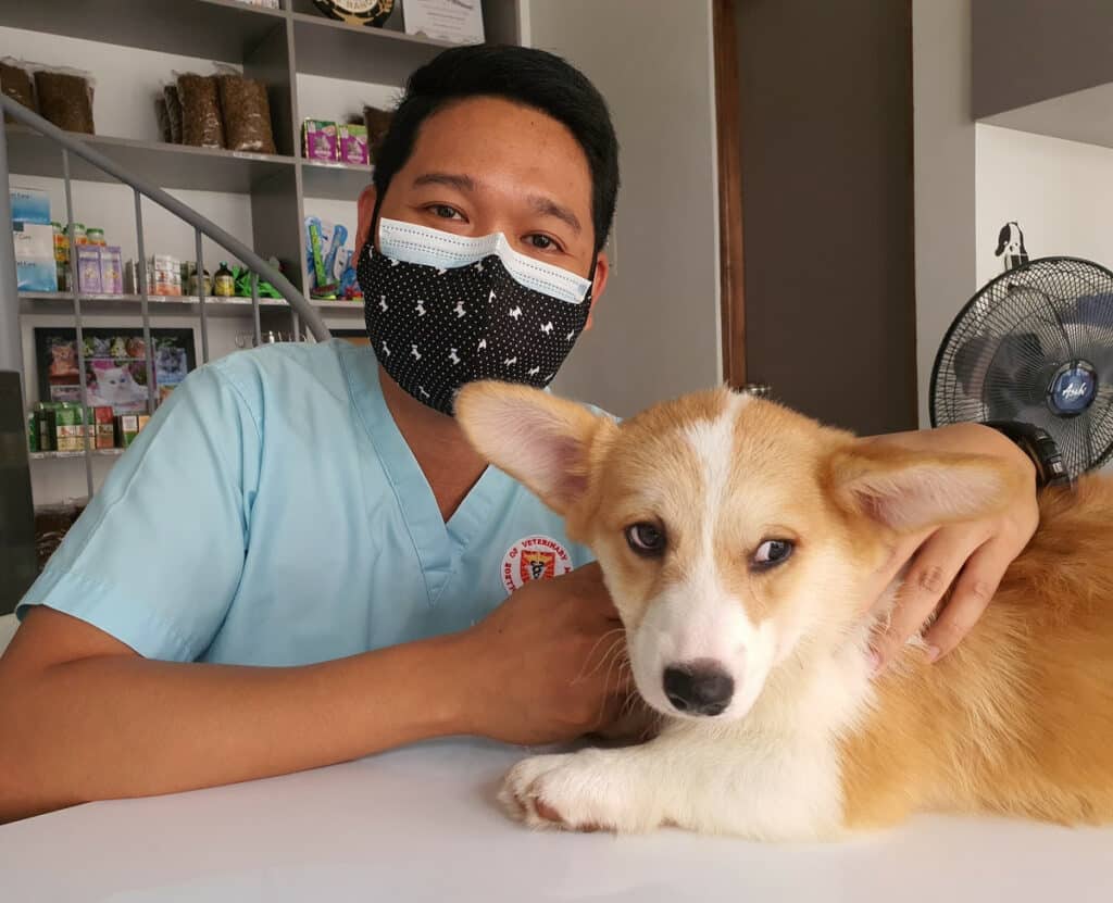 karlo-totto