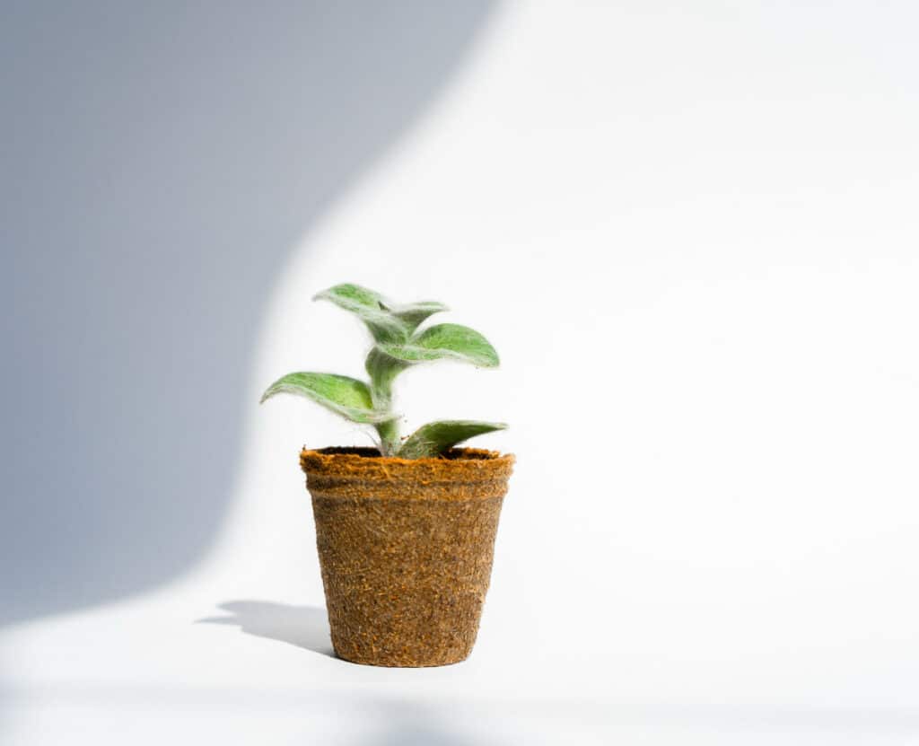 pots recyclables