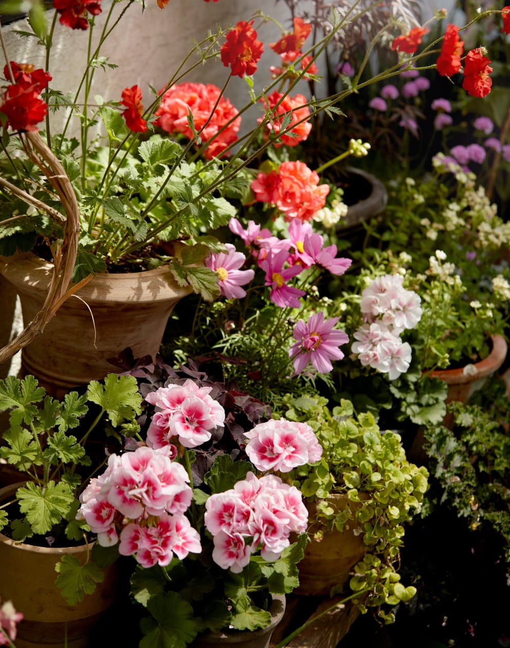 pots recyclables