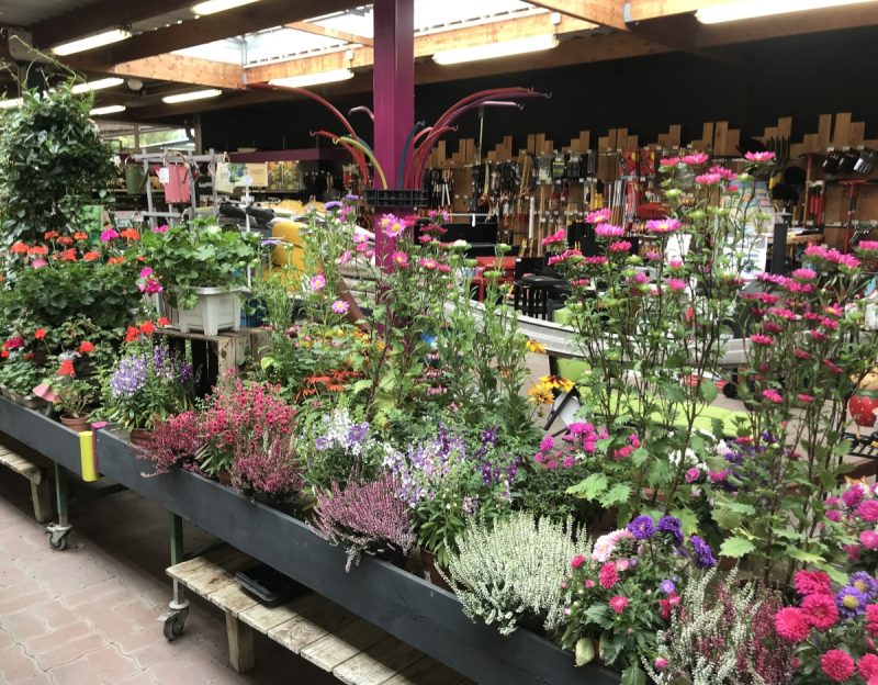 Fleurs et jardinerie Naveil